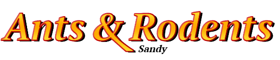 Sandy Ant Exterminator & Rodent Control Company Logo